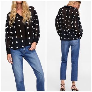 Zara Basic Sheer Textured Polka Dot Long Sleeve Blouse Fall Winter